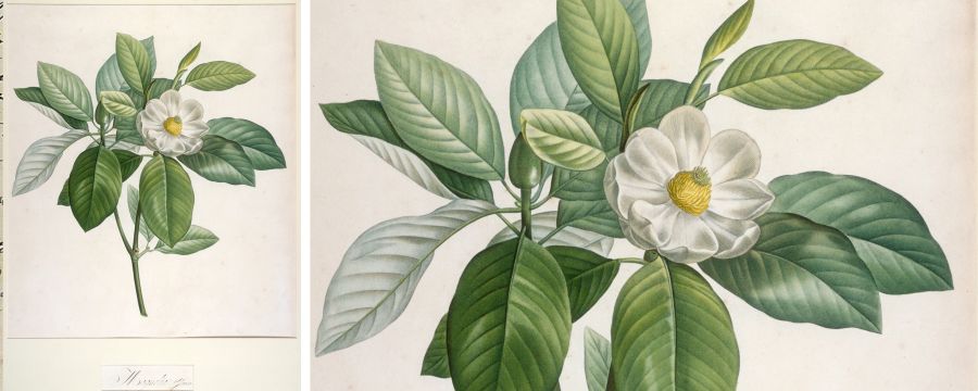 Transmettre le vivant