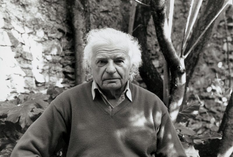 image for Bonnefoy, Yves (1923-2016)
