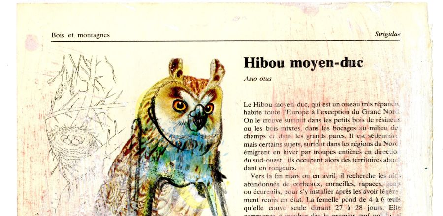 Le regard d'Yves Chèvrefils-Desbiolles : le fonds Dado à l’Imec