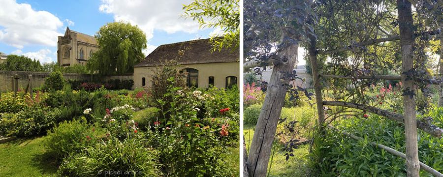 Recrutement | Service civique création et valorisation du potager